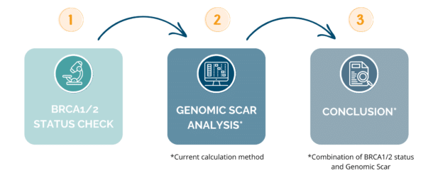 HRD Genomic Scar - New HRD GS classification results